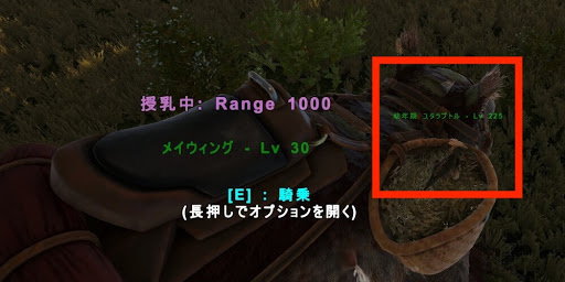 ARK_メイウィング_ブリーディング