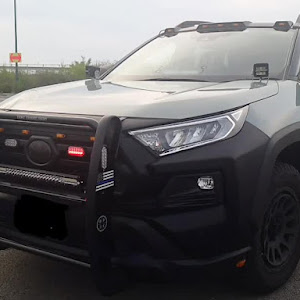 RAV4 MXAA54