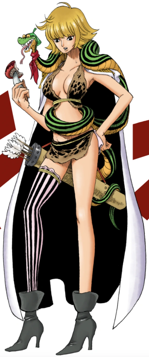 Arco  Lily, One Piece Wiki