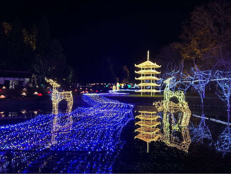 アルト ターボRSの冬の風物詩・国営備北丘陵公園・イルミネーション2023・愛犬とドライブ・豆柴の居る暮らしに関するカスタム事例の投稿画像30枚目