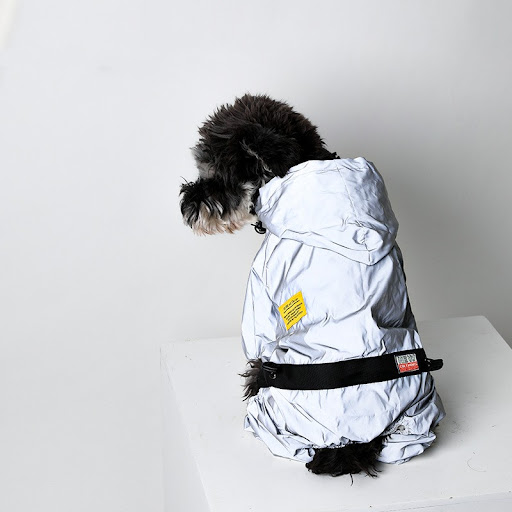 Title 6, Reflective Pet Raincoat for Night Walks Waterpr...
