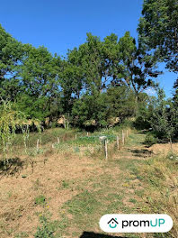 terrain à Naussac (48)