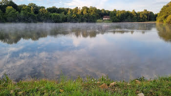 propriété à Saint-Fargeau (89)