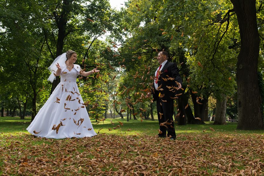 Photographe de mariage Norbert Ludaš (norbertludas). Photo du 8 mai 2019