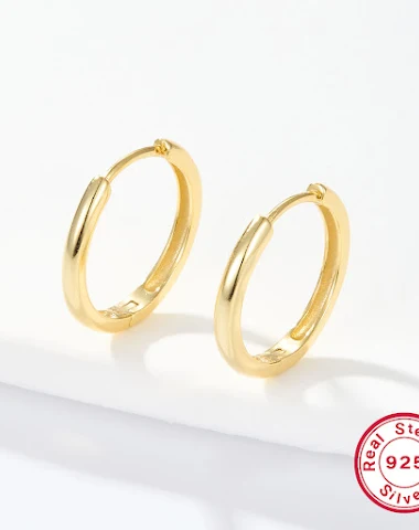 Boucles d'oreilles clips grand cerc - 0