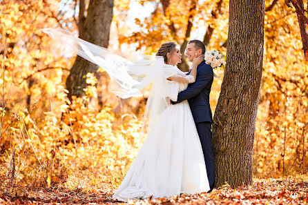 Wedding photographer Aleksandr Kobelyuk (zhitomirphoto). Photo of 29 October 2019