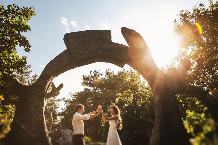 Wedding photographer Elena Mikhaylova (elenamikhaylova). Photo of 16 September 2017