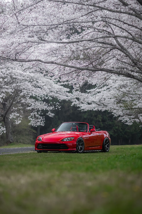 S2000のS2000・Titan7・桜と愛車に関するカスタム事例の投稿画像1枚目