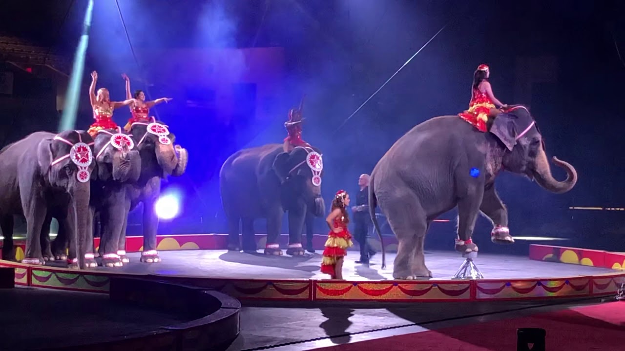 shrine circus fort worth