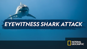 Eyewitness Shark Attack thumbnail