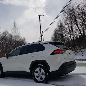 RAV4 ACA36W