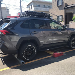 RAV4 MXAA54