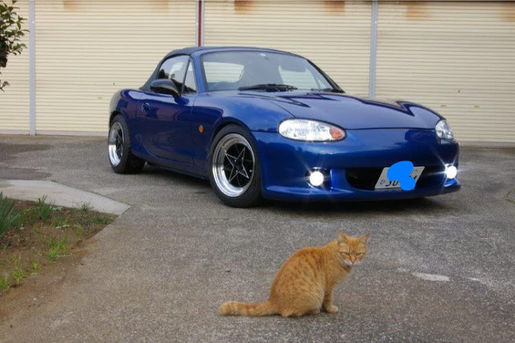 ロードスターのねこ・板金塗装に関するカスタム事例の投稿画像1枚目