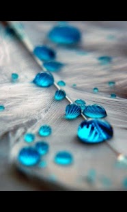 Download Water Drops Live Wallpaper apk Download | oranfizz