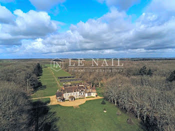 château à Senonches (28)