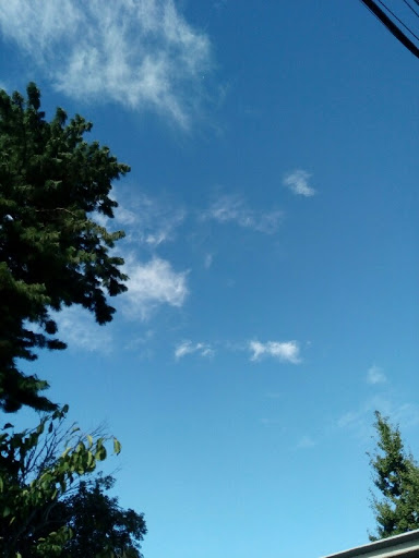 海音（カノン）