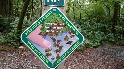 Minnekhada Regional Park Trail Marker