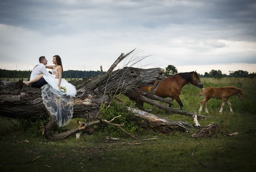 Свадебный фотограф Agnieszka Sopel (sopel). Фотография от 10 марта 2015