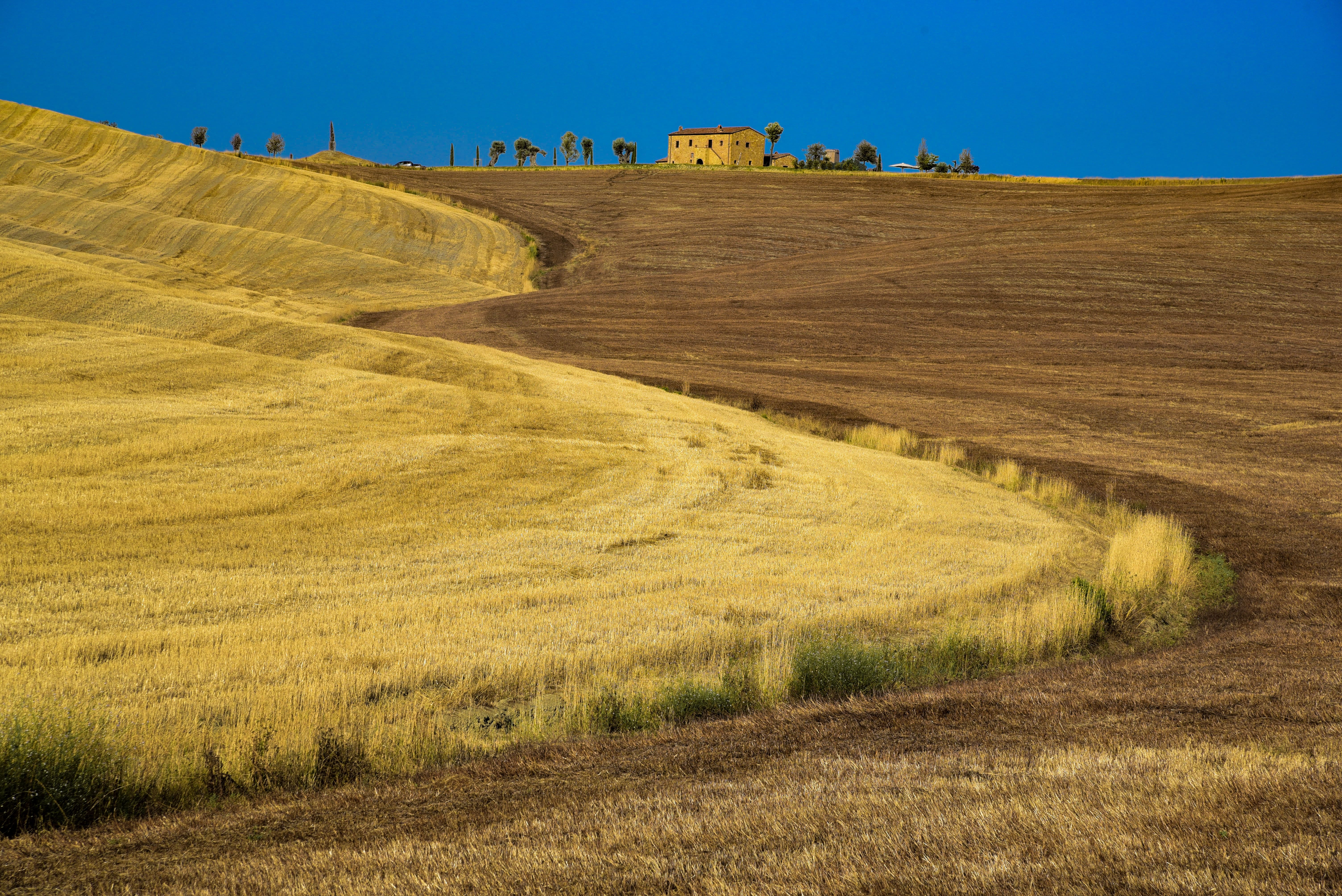 Paesaggio italiano di Highlander