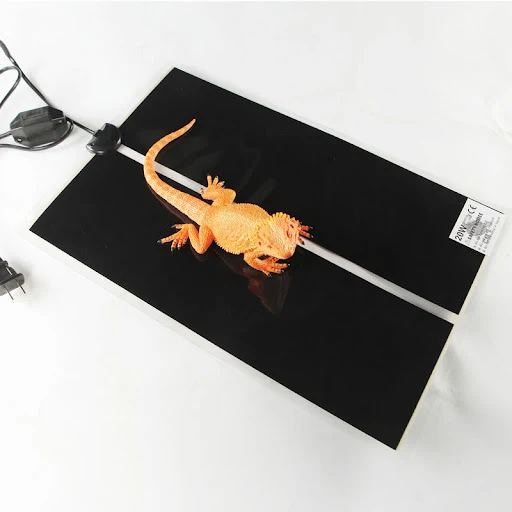 images slider number - 3