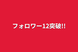 フォロワー12突破!!