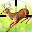 Deer Jungle Hunting : advance deer hunter classic Download on Windows