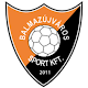 Download Balmazújvárosi FC For PC Windows and Mac 1.0