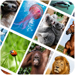 Cover Image of Herunterladen Picture Quiz: Animals 1.2.9 APK
