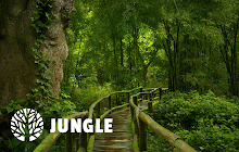 Jungle New Tab small promo image