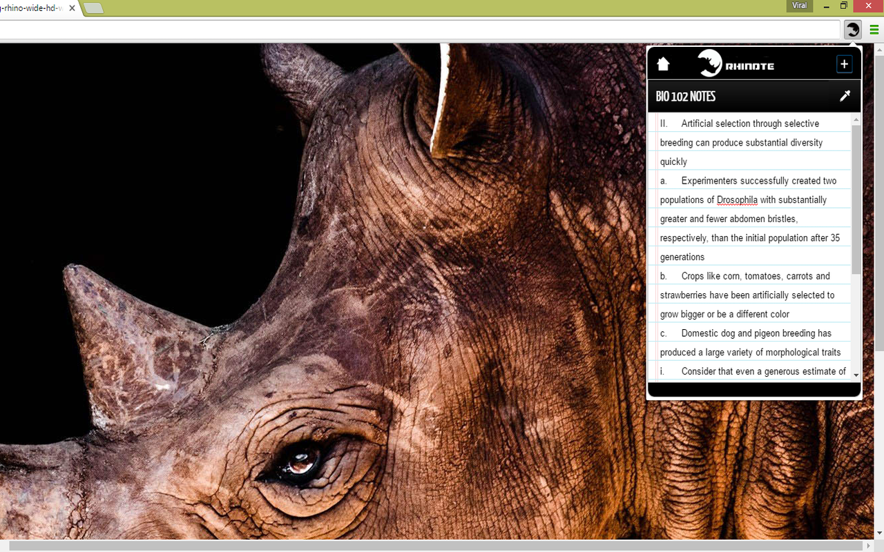 RhiNote Preview image 4