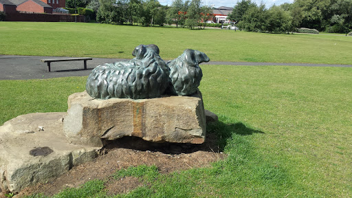 Beaumont Park Sheep 