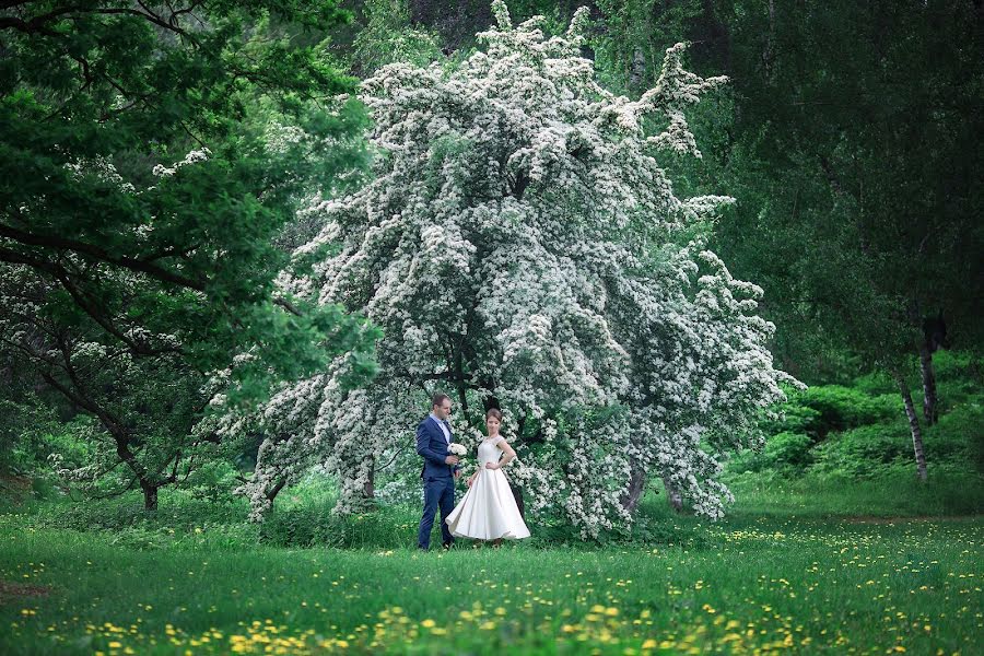 結婚式の写真家Lena Astafeva (tigrdi)。2016 6月3日の写真