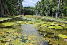 SSR Botanic Garden, Pamplemousses, Mauritius
