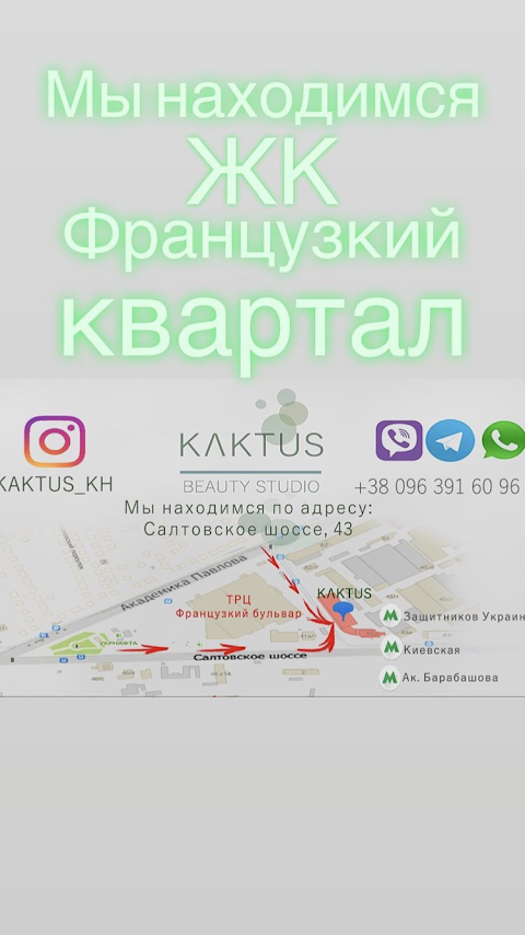 KAKTUS