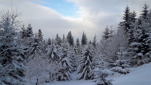 Котедж "Завжди раді"