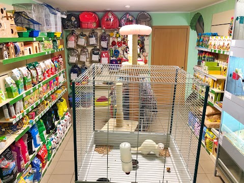 PetStore