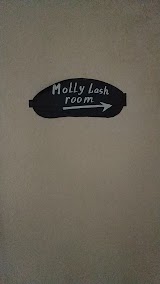 MOLLY LASH & BROW