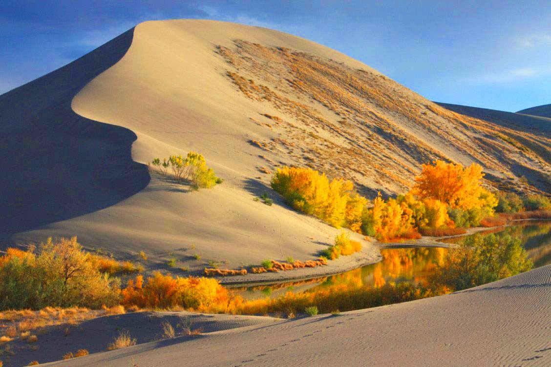 Bruneau Dunes