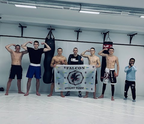 Fight Team Falcon [MMA]