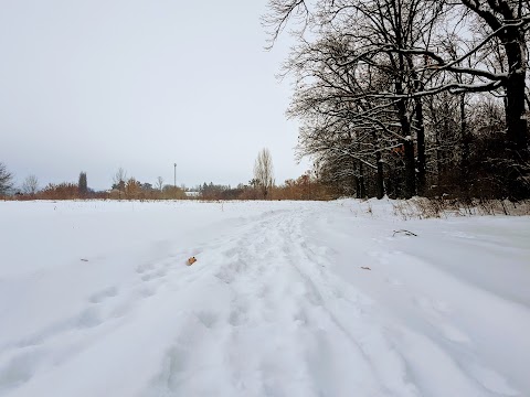 Аптека Будем Здоровы Вместе