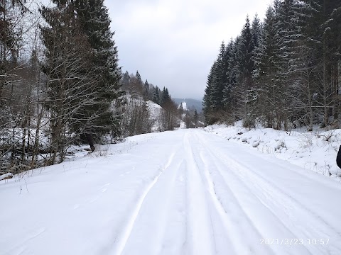 У Віталії