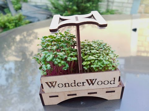 WonderWood