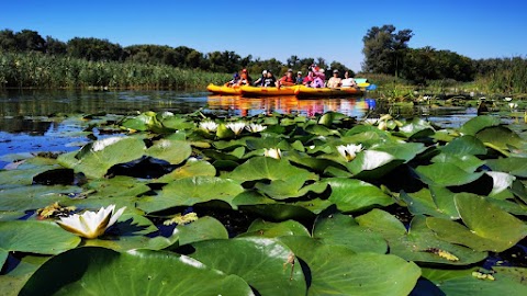 Kayak Club Dnipro