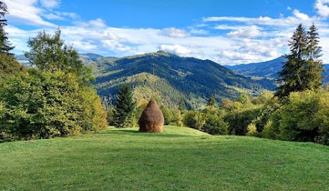 Beecool Мёд натуральный акация, горный, лесной (дикий), липовый, гречаный, софора, кориандр, шалфей, чабрец. Прополис, перга, забрус, маточное молочко, пыльца, восковая моль