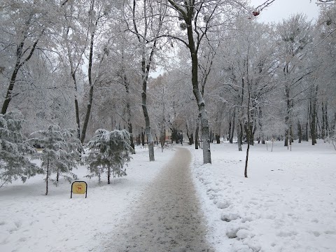 Петровський Парк