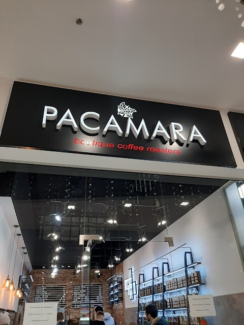 Pacamara