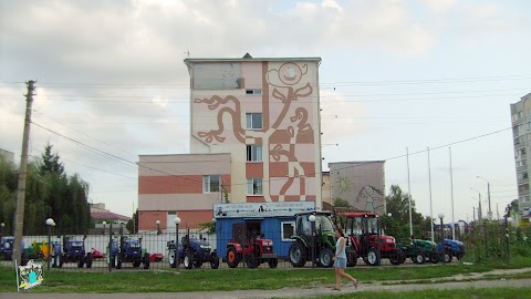 Житомирський обласний перинатальний центр (Роддом)