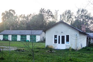 ДОЛИНСЬКА РАЙОННА ДЕРЖАВНА ЛІКАРНЯ ВЕТЕРИНАРНОЇ МЕДИЦИНИ