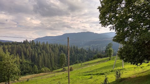 Бойківський Далевид