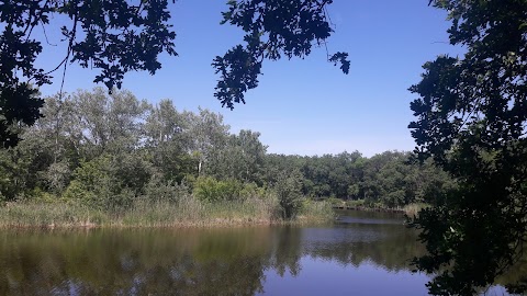 санаторій Гармонія